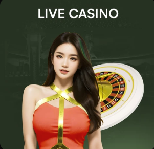 2007年→2026年！哲科连续20年为波黑队破门